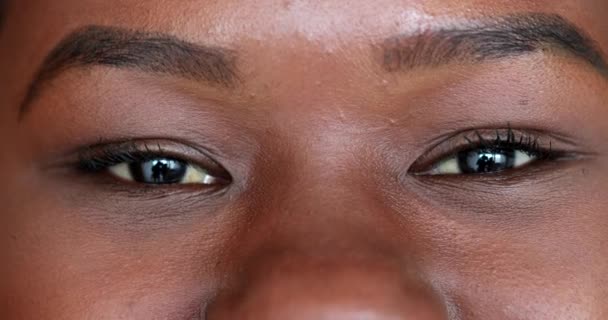 Mixed Race Woman Macro Close Eyes Smiling — Video