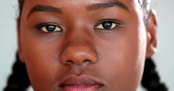 Intense Serious African Young Woman Staring Camera Portrait Black Girl — Video