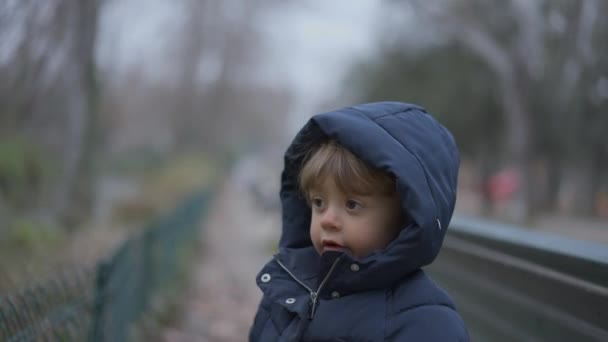 Toddler Boy Standing Park Winter Child Outdoors — Stockvideo