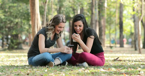 Candid Friends Park Checking Cellphones Girls Seated Looking Smartphones — Fotografia de Stock