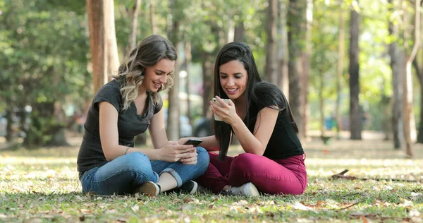 Candid Friends Park Checking Cellphones Girls Seated Looking Smartphones — Fotografia de Stock