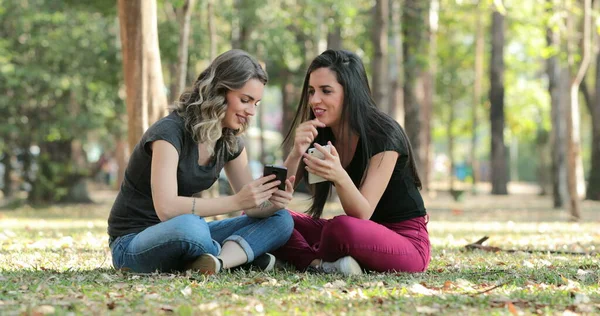 Candid friends outside at the park checking their cellphones Girls seated looking at their smartphones chatting