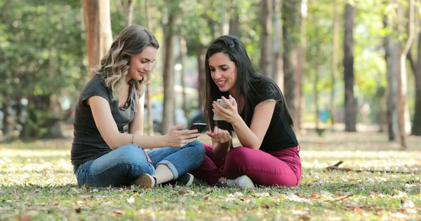 Candid friends outside at the park checking their cellphones Girls seated looking at their smartphones chatting