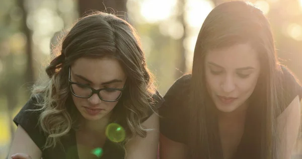 Friends Studying Together Sunlight Park Smart Intelligent Women — Foto de Stock