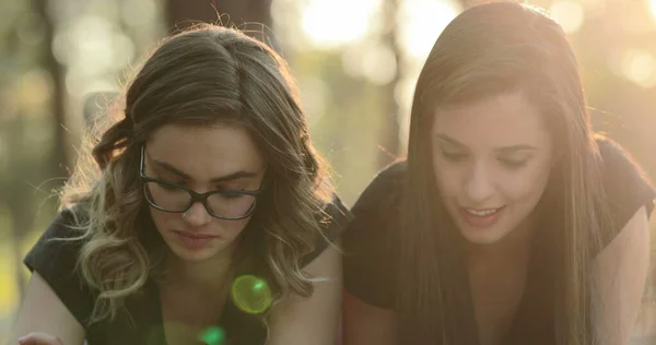 Friends Studying Together Sunlight Park Smart Intelligent Women — Zdjęcie stockowe