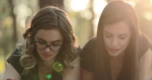 Friends Studying Together Sunlight Park Smart Intelligent Women — 图库视频影像