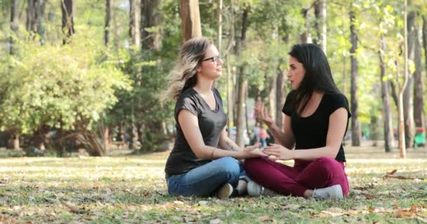 Two Friends Talking Each Other Park Candid Conversation Two Girlfriends — Stock video
