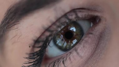 Macro close-up of green female eye outdoors