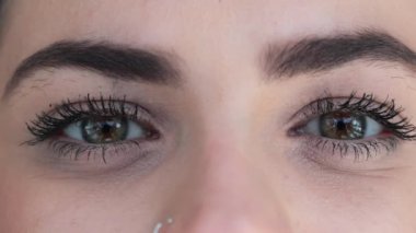 Pretty eyes looking to camera. Macro of green eyes opening