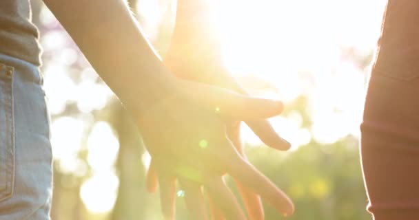 Joining Hands Together Uniting Chain Hands Held Together Sunlight — Stockvideo