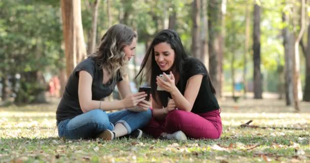 Candid Friends Park Checking Cellphones Girls Seated Looking Smartphones Chatting — Stockvideo