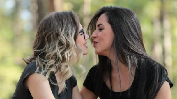 Gay Girlfriends Kissing Each Other Outdoors Park Looking Camera Smiling — Stock video