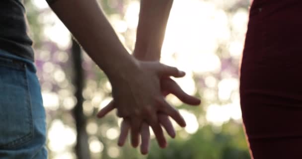 Joining Hands Together Park Sunlight Flare Background Concept Love Affection — Wideo stockowe