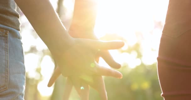 Hands Held Together Sunlight Flare Background — Video