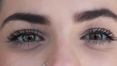 Pretty eyes looking to camera. Macro of green eyes closing