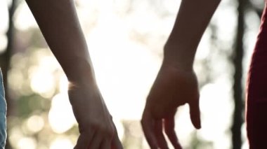 Joining hands together with sunflare in the background