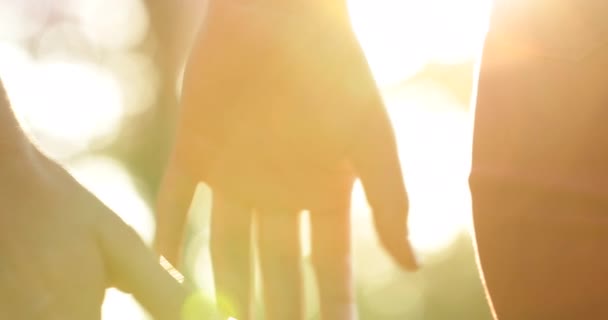 Joining Hands Together Uniting Chain Hands Held Together Sunlight — Vídeo de Stock