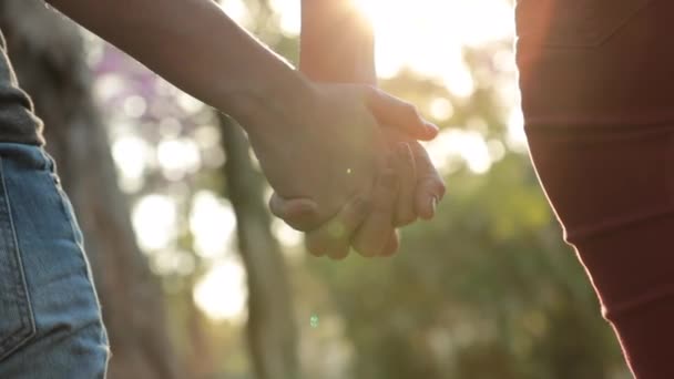 Close Hands Held Together Sunlight Flare Shining — Stok video