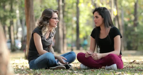 친구는 이야기 공원에 야외에서 말하기 — 비디오