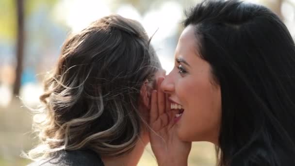Friend Telling Secret Girlfriend Gossiping Whispering Ear — Vídeo de Stock
