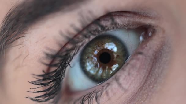 Макро Крупный План Зеленого Женского Глаза Открытом Воздухе Открывающий Глаза — стоковое видео