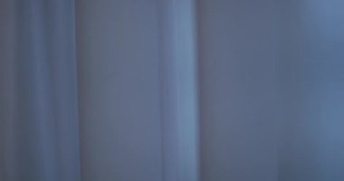 Apartment window curtains with contrast