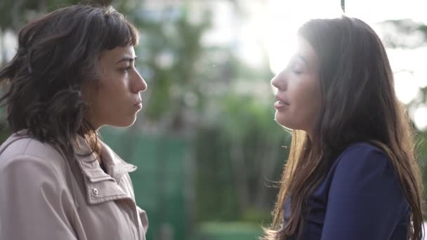 Two Women Conversation Standing Park Female Friends Talking Each Other — Vídeo de Stock