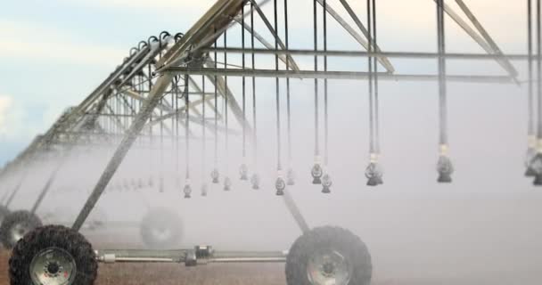 Pivot Sprinkler System Irrigating Crops Irrigation Pivot System Watering Agriculture — Video