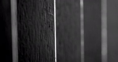 Patterns of black wooden lines
