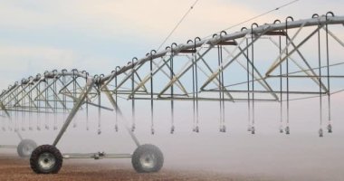 Pivot sprinkler system irrigating crops. Irrigation pivot system watering agriculture field 