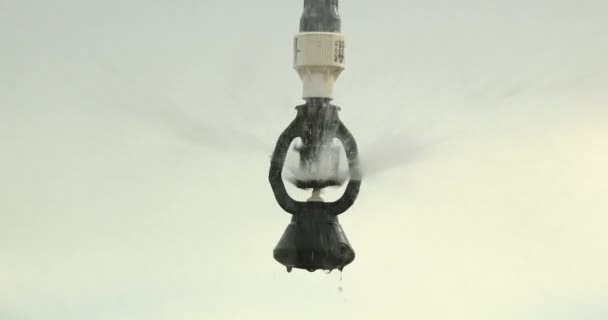 Pivot Sprinkler System Irrigating Crops Irrigation Pivot System Watering Agriculture — ストック動画