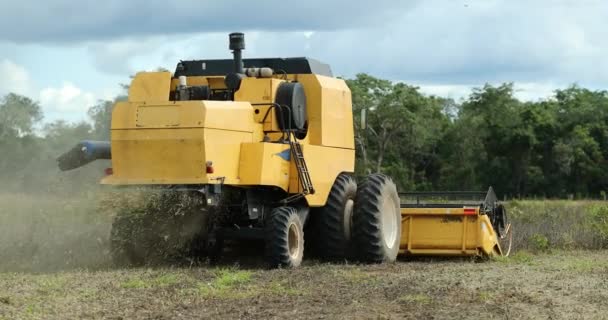 Agricultural Tractor Harvesting Field — Vídeo de Stock