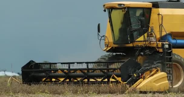 Agriculture Tractor Harvests Soybean Field — ストック動画