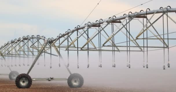 Pivot Sprinkler System Irrigating Crops Irrigation Pivot System Watering Agriculture — 图库视频影像