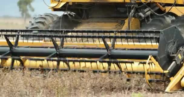 Tractor Harvesting Collecting Agricultural Field — Video