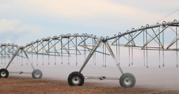 Pivot Sprinkler System Irrigating Crops Irrigation Pivot System Watering Agriculture — Video