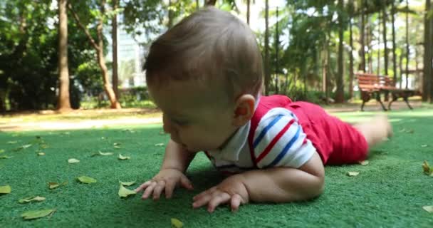 Cute Baby Boy Outdoor Park Discovering World Grabbing Leaf — Vídeo de Stock
