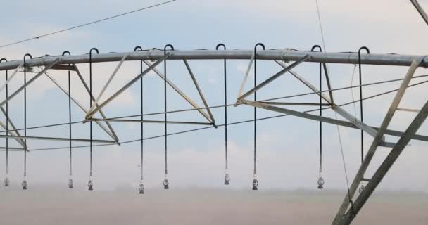 Pivot Sprinkler System Irrigating Crops Irrigation Pivot System Watering Agriculture — Stok video