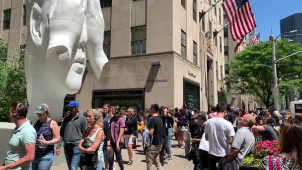Нью Йорк Сити Сша Июля 2019 Года Статуя Jaume Plensa — стоковое видео