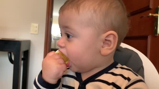 Toddler Baby Boy Eating Piece Orange — Video Stock