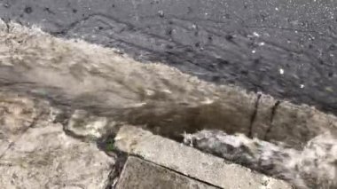 Şehir asfalt kanalizasyonuna yağmur yağıyor