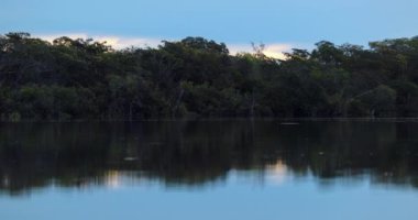 Scenic beautiful lake during sunset in 4K. Trees reflection in water
