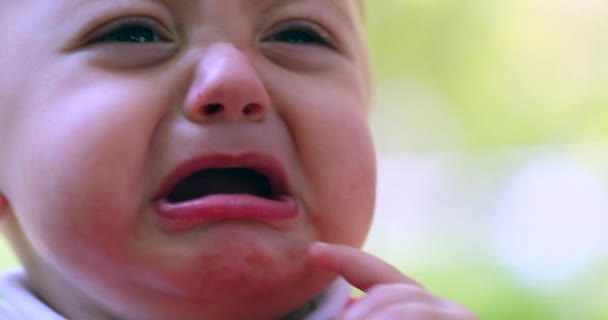 Closeup Baby Infant Boy Face Having Tantrum Crying Displeased Upset — Stockvideo