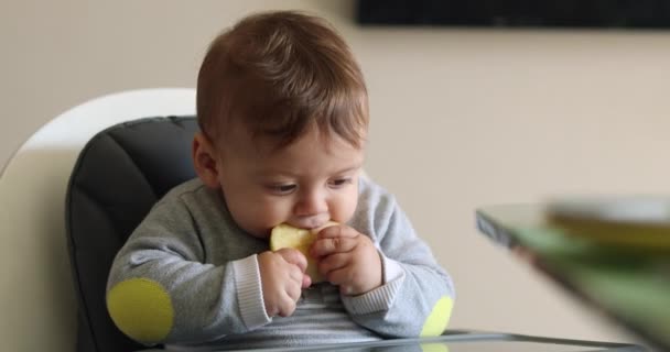 Baby Tasting Eating Chewing Delicious Apple Fruit — Video