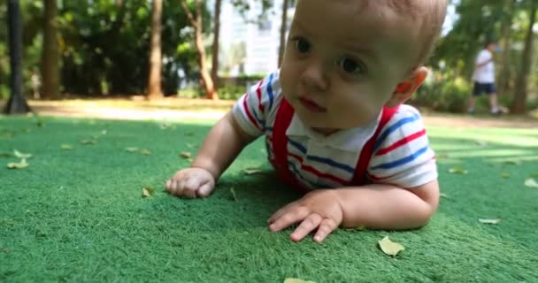 Adorable Baby Infant Boy Crawling Park — 비디오