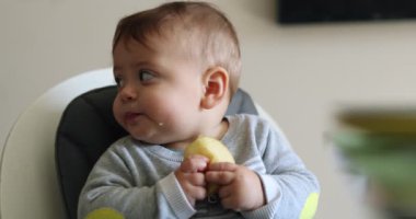 Cute baby infant eating piece of apple fruit
