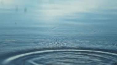 Stone thrown into the water surface at 120fps slow-motion creating water ripples effect
