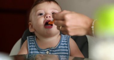Parent feeding baby boy toddler on highchair