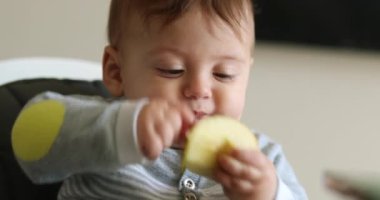 Cute baby eating piece of apple fruit