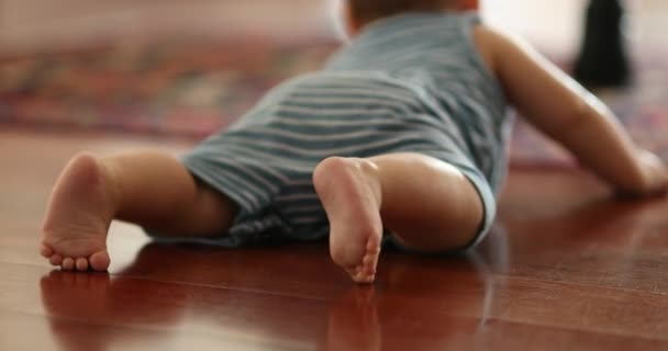 Back Little Baby Infant Hardwood Floor Home — Stockvideo